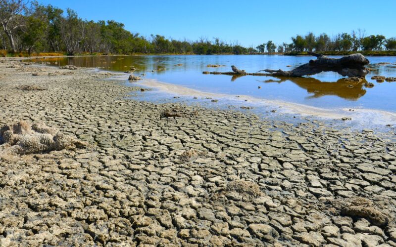El Niño a jeho dopady na komoditné a finančné trhy